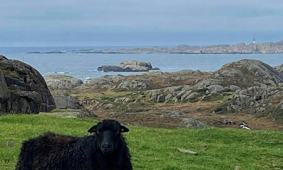 Photo of Others in Egersund