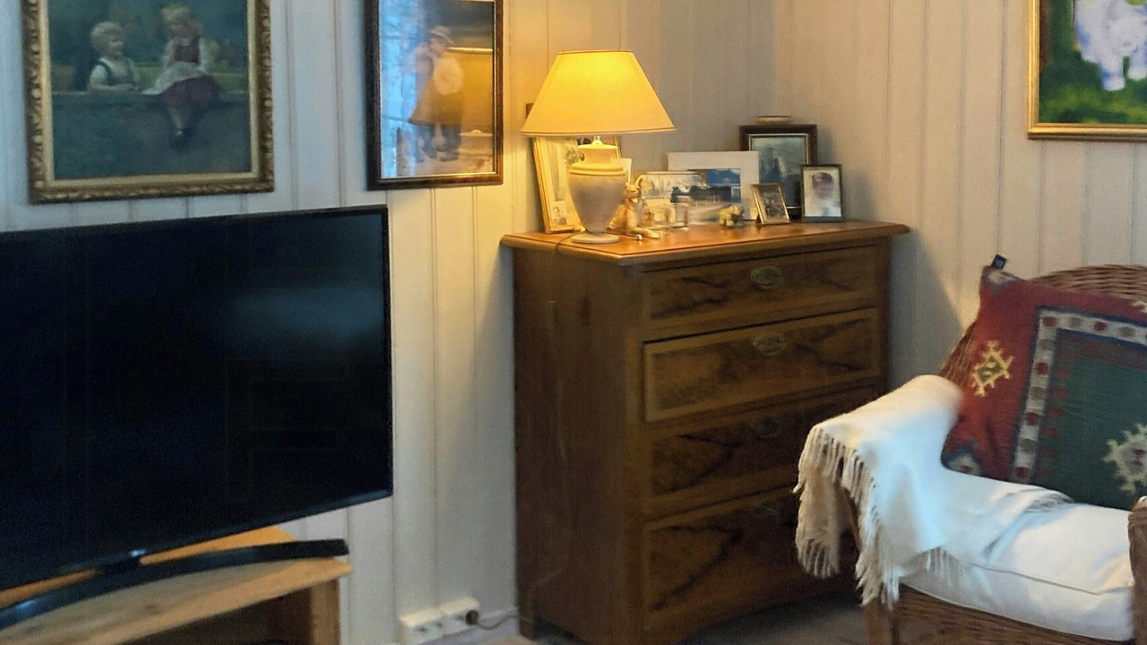 Photo of Livingroom in Tokke
