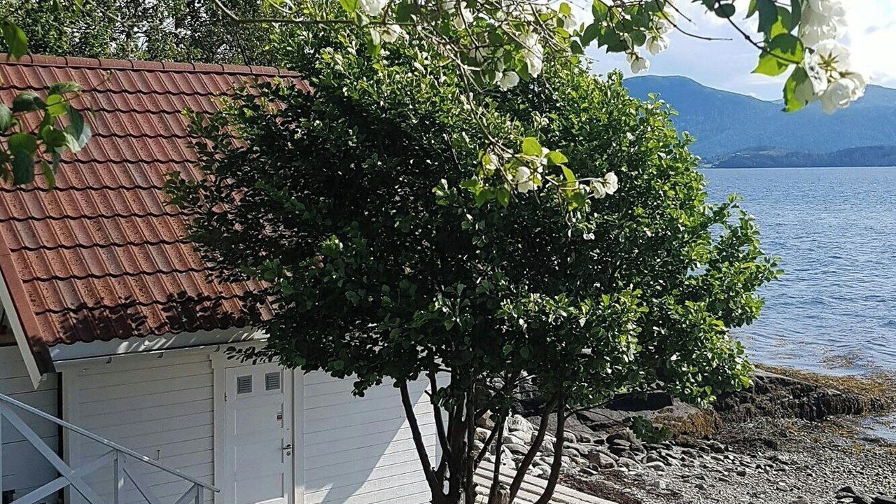 Photo of Outdoor in Torjulvagen