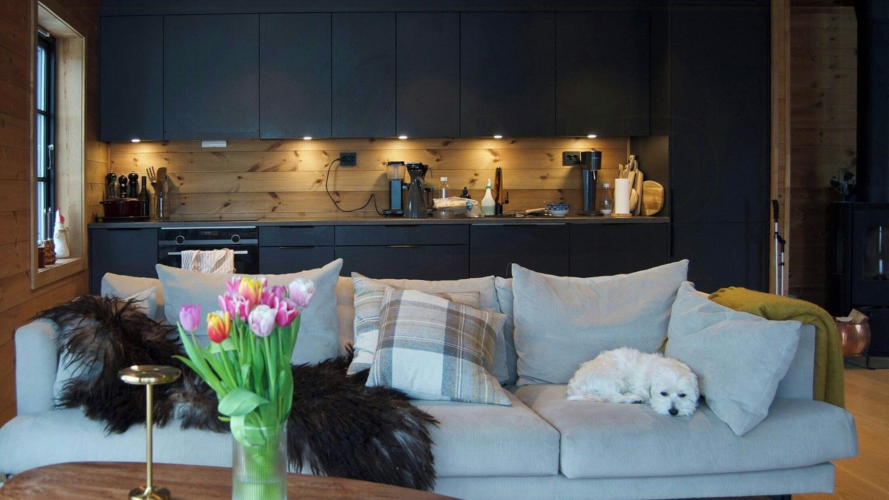 Photo of Livingroom in Sirdal