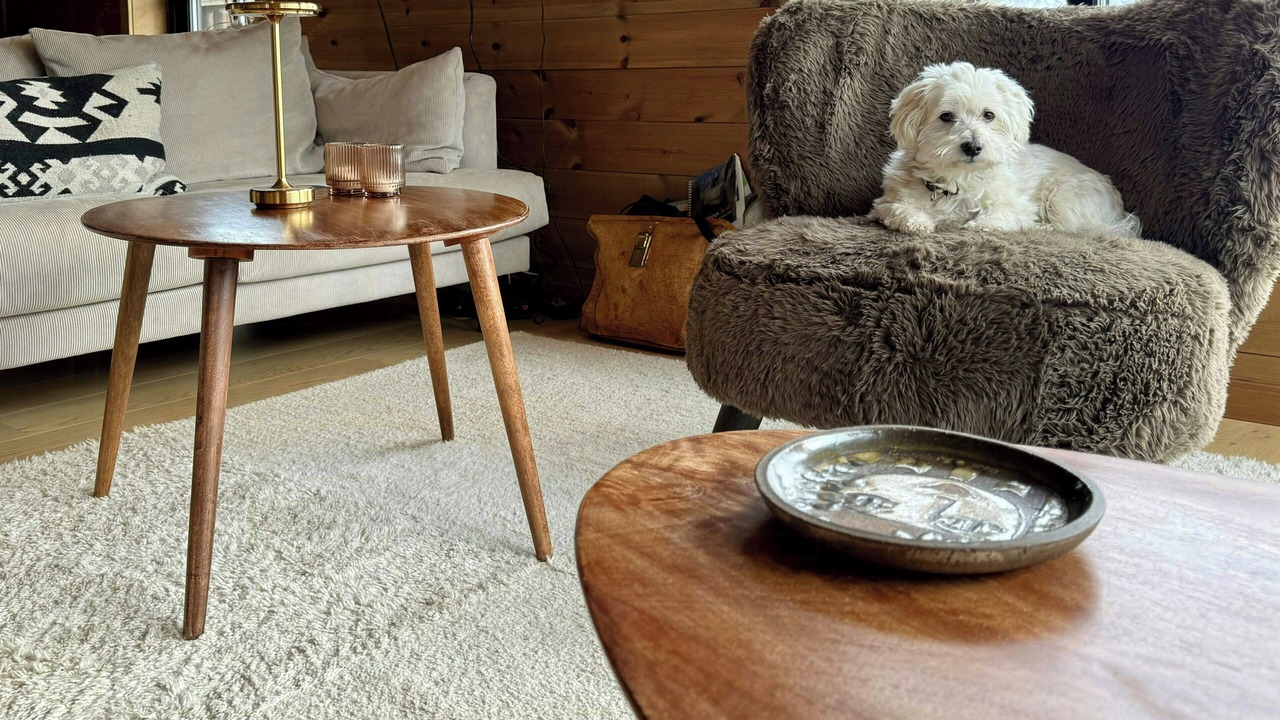 Photo of Livingroom in Sirdal