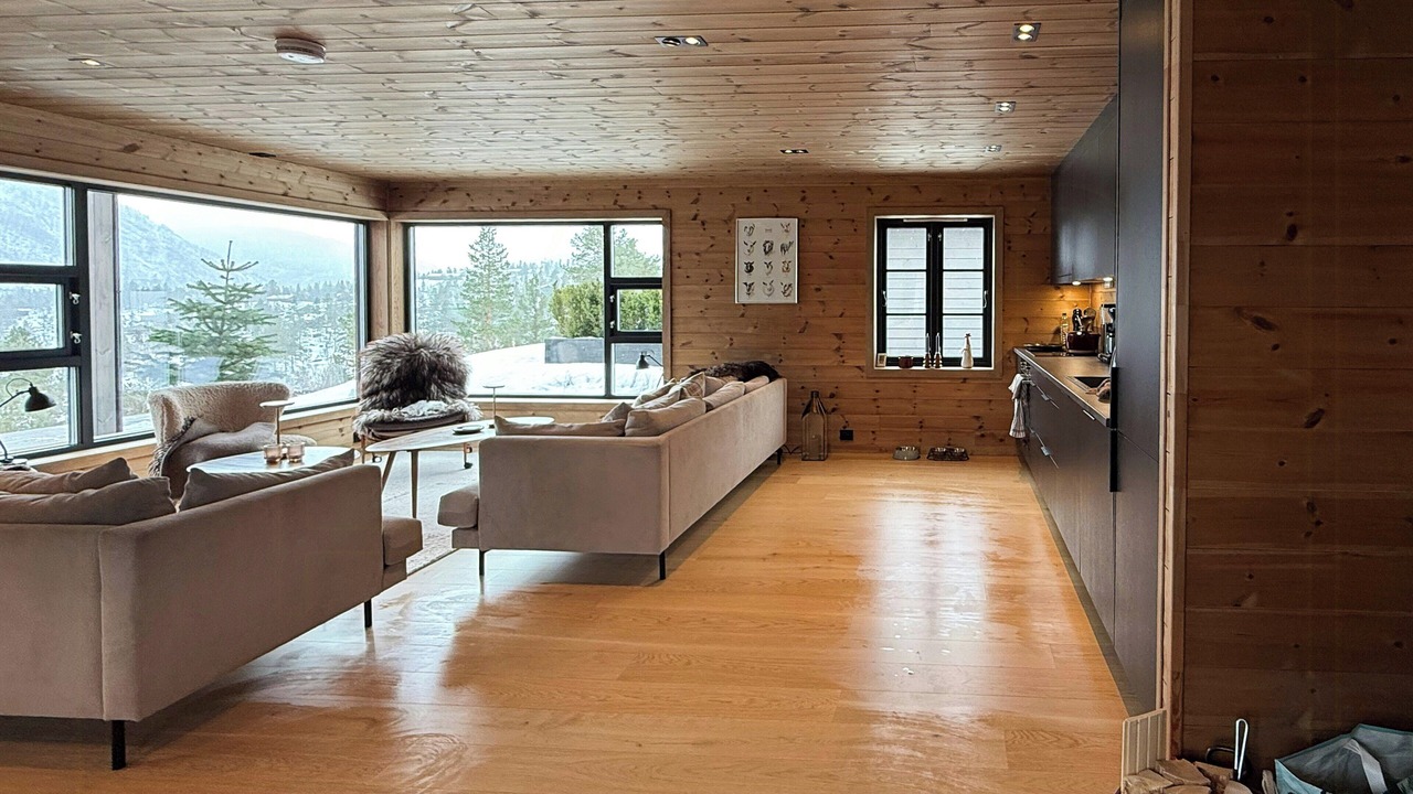 Photo of Livingroom in Sirdal