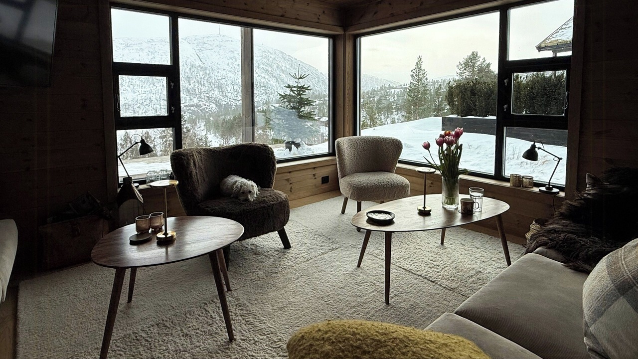 Photo of Livingroom in Sirdal