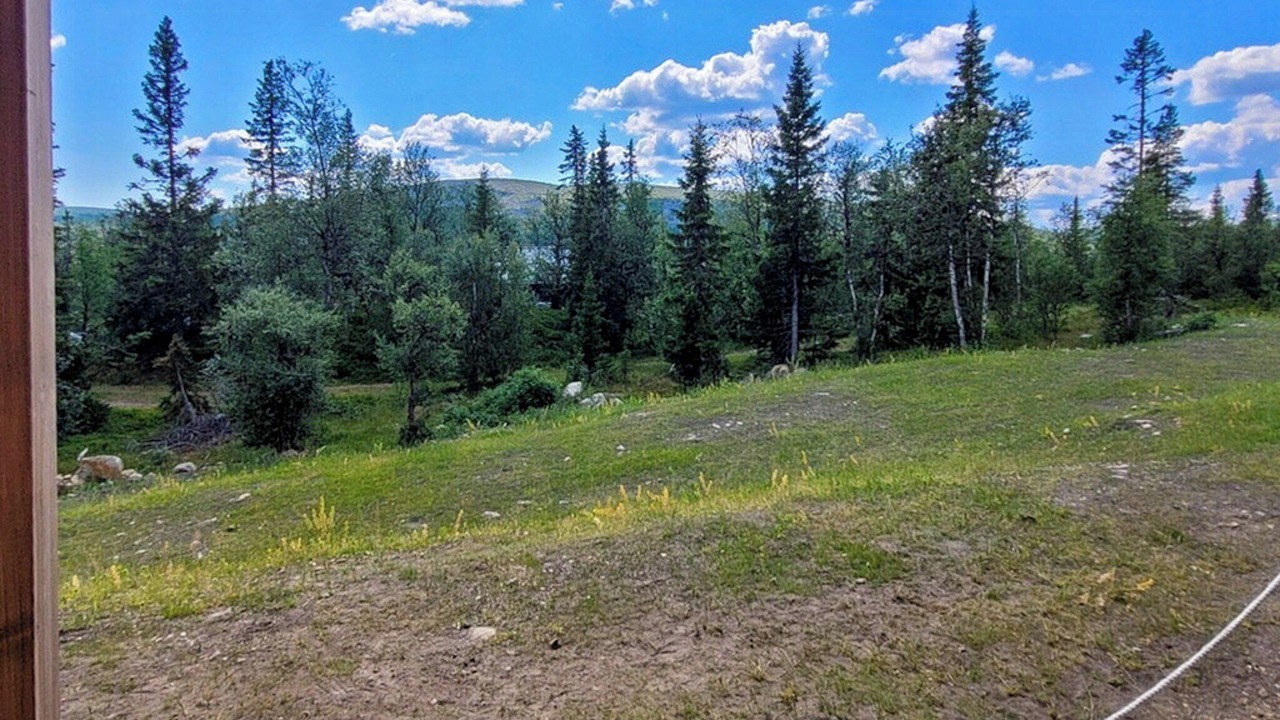 Photo of Others in Vemdalen