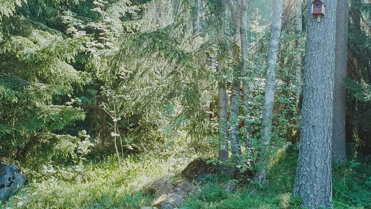 Photo of Others in Bodarne