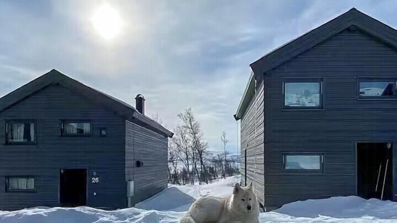 Photo of Outdoor in Ustaoset