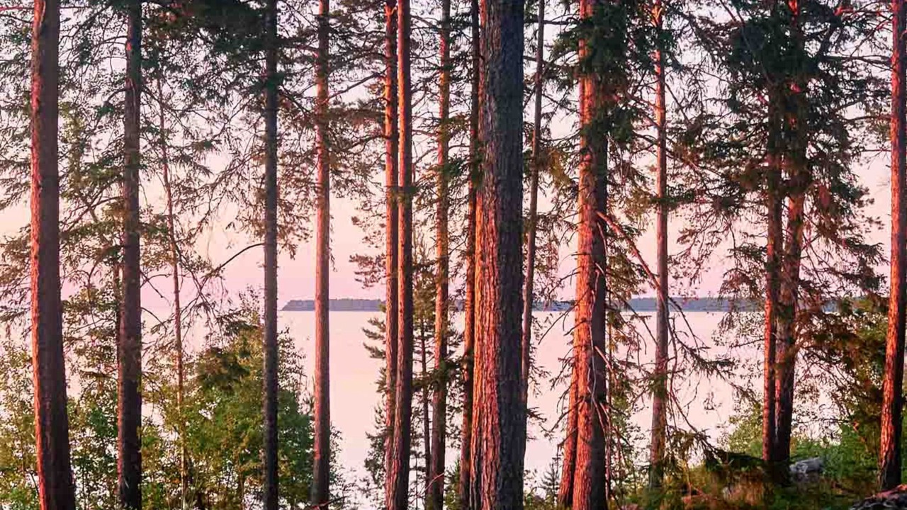 Photo of Others in Soderhamn