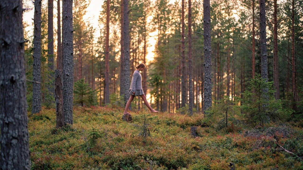 Photo of Others in Soderhamn