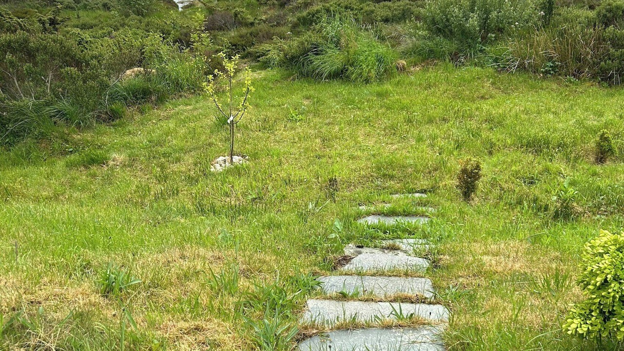 Photo of Outdoor in Gulen Municipality