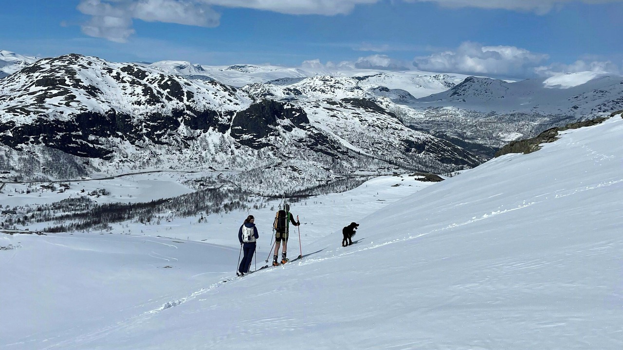 Photo of Others in Hemsedal