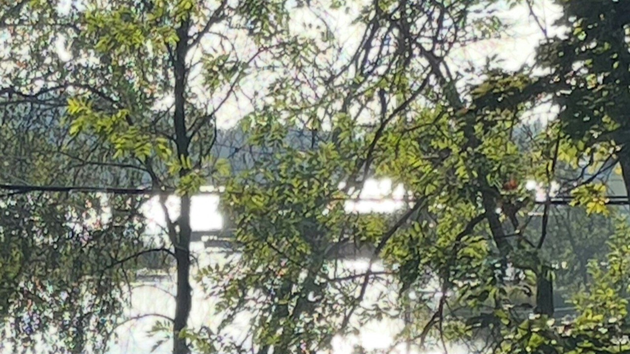Photo of Others in Vaxholm