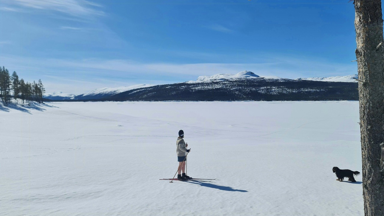 Photo of Others in Nore og Uvdal
