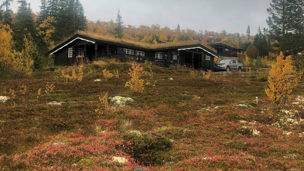 Photo of Outdoor in Engerdal