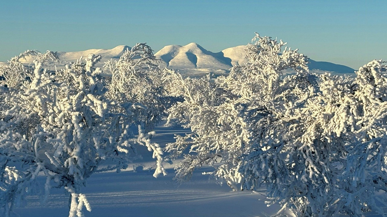 Photo of Others in Engerdal