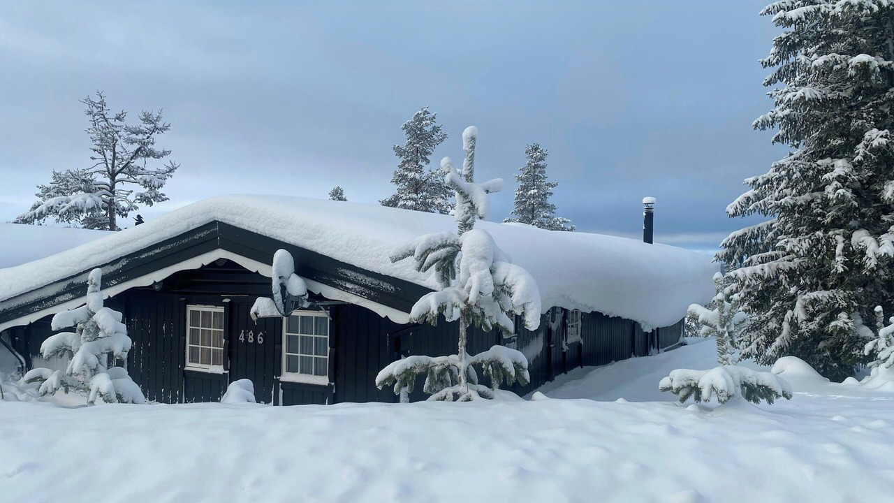 Photo of Outdoor in Engerdal