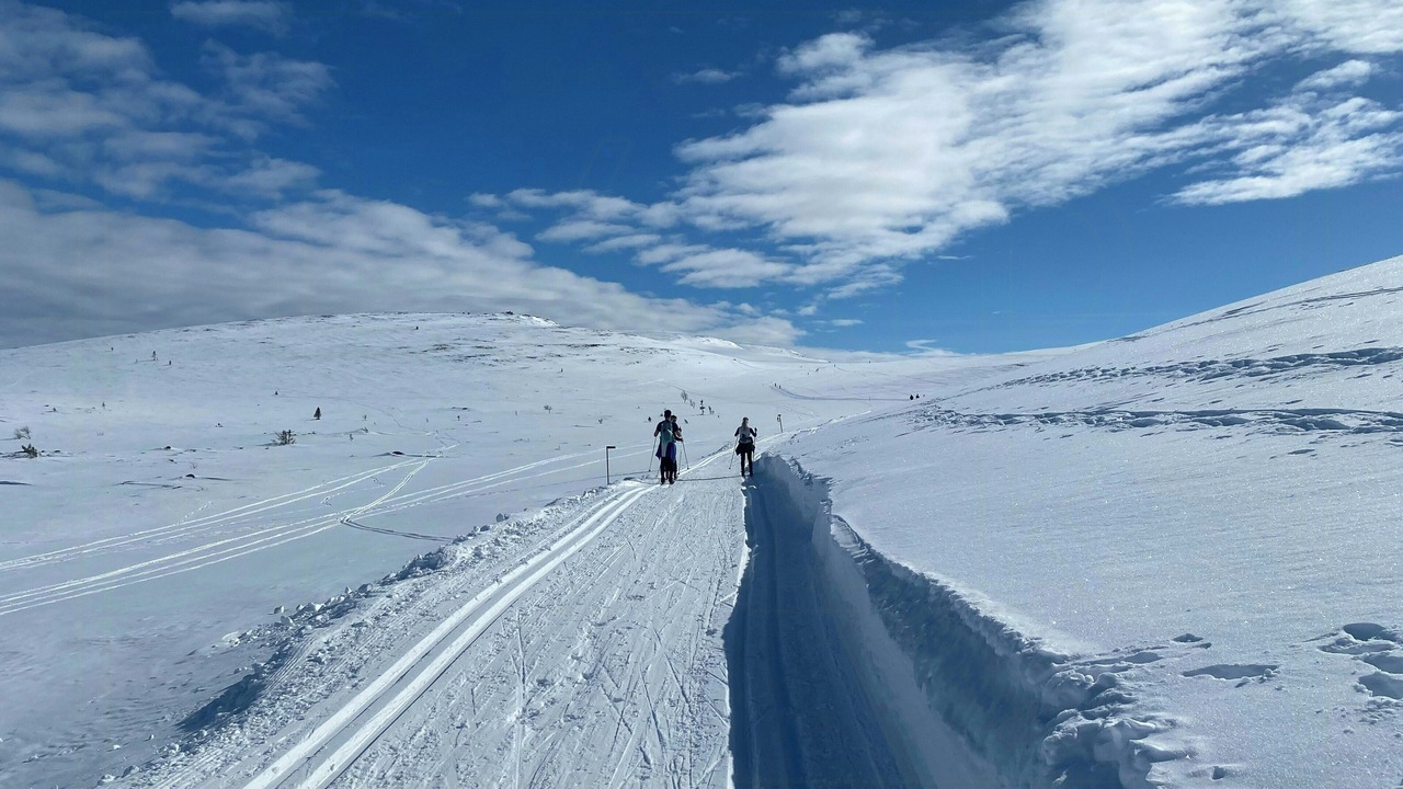 Photo of Others in Engerdal