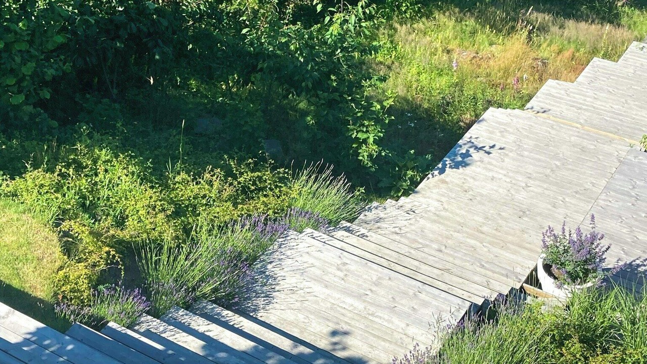 Photo of Outdoor in Moss