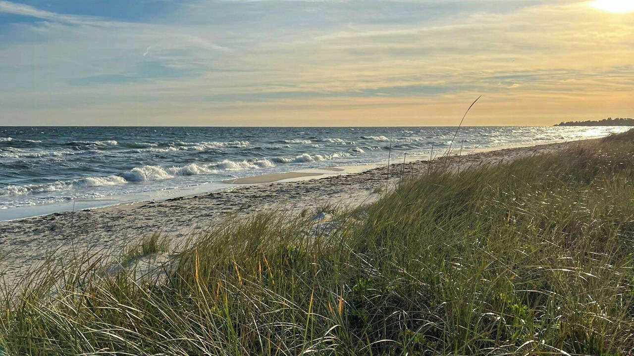 Photo of Others in Beddingestrand