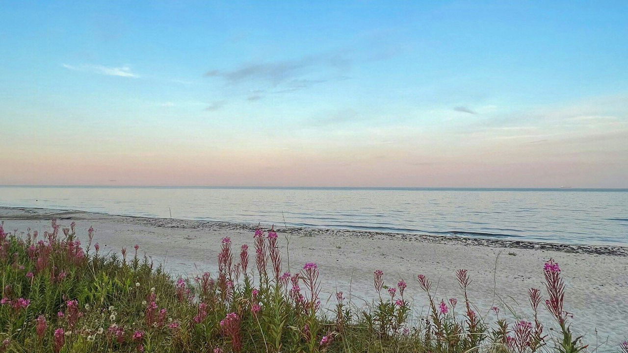 Photo of Others in Beddingestrand