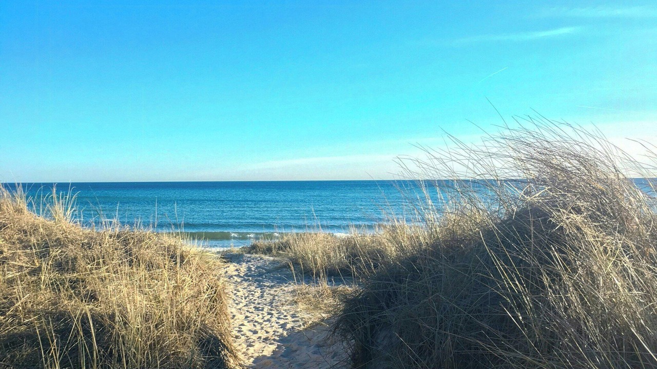 Photo of Others in Beddingestrand