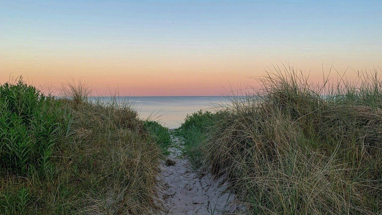 Photo of Others in Beddingestrand