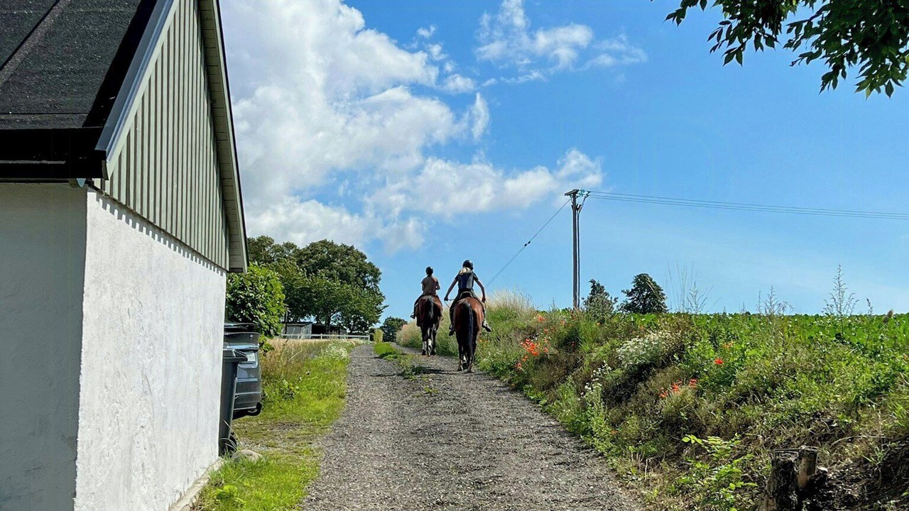 Photo of Others in Rydsgard