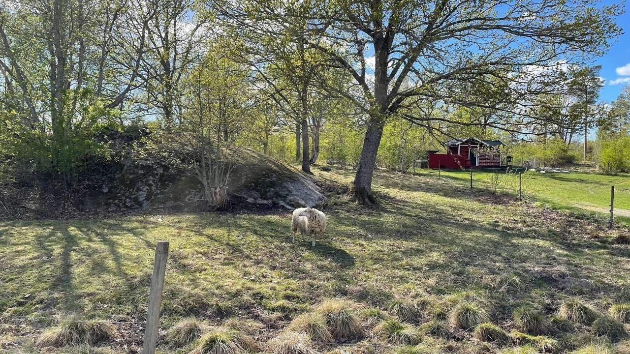 Photo of Others in Flen Municipality
