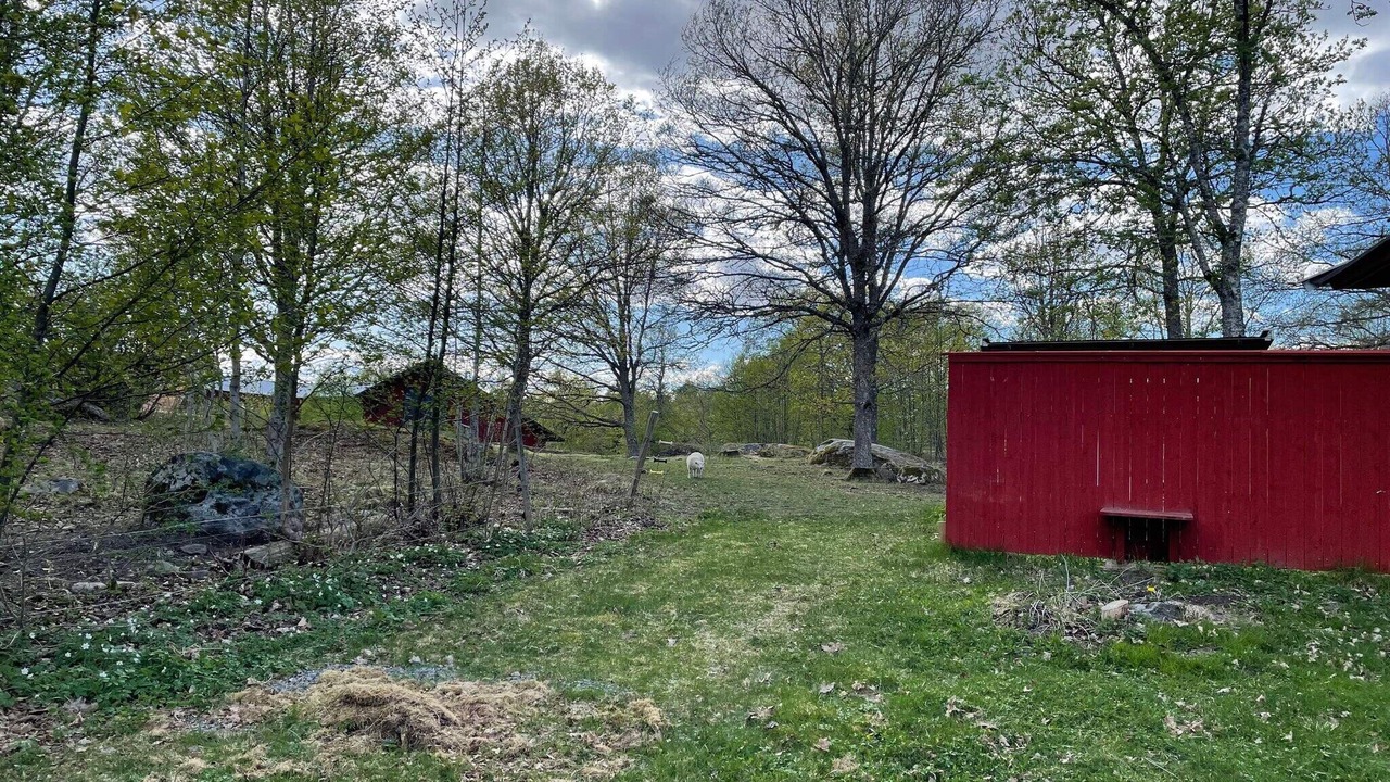 Photo of Outdoor in Flen Municipality