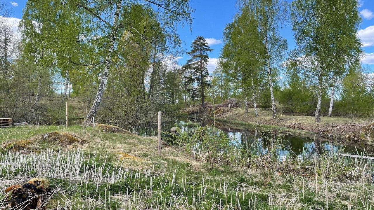Photo of Outdoor in Flen Municipality