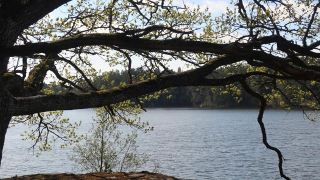 Photo of Outdoor in Flen Municipality