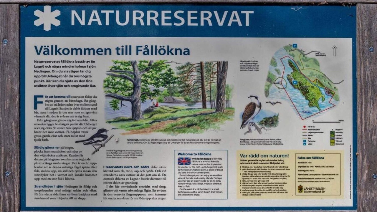 Photo of Outdoor in Flen Municipality
