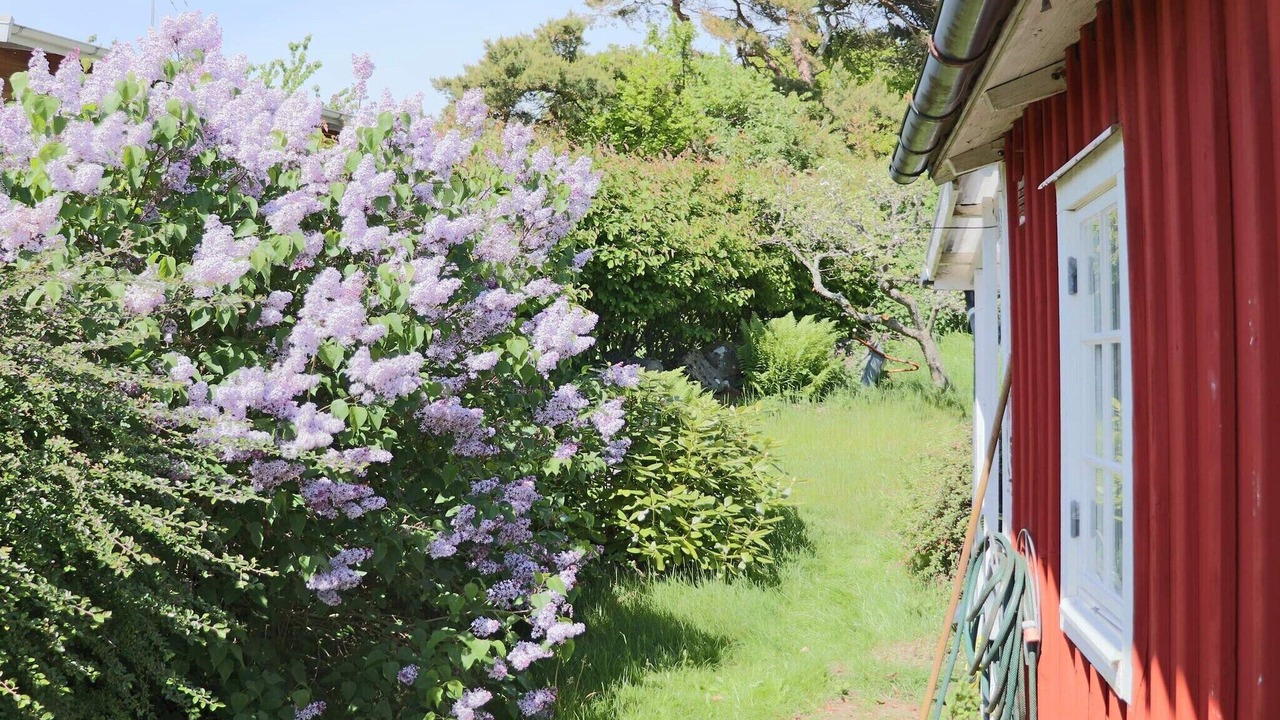 Photo of Outdoor in Falkenberg