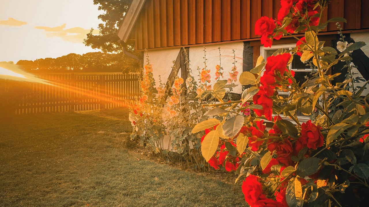 Photo of Outdoor in Angelholm
