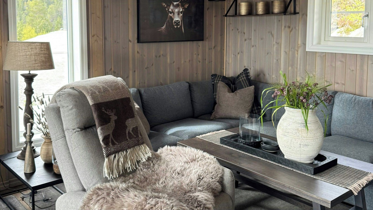 Photo of Livingroom in Tørdal