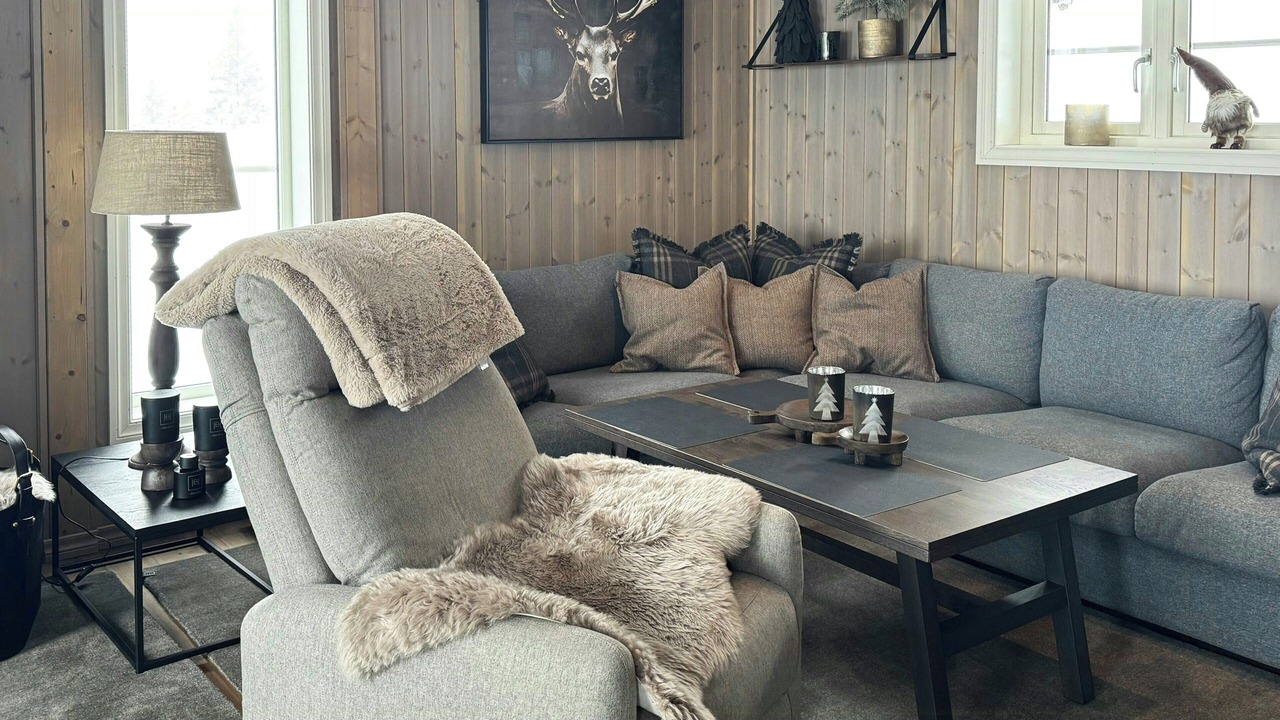 Photo of Livingroom in Tørdal
