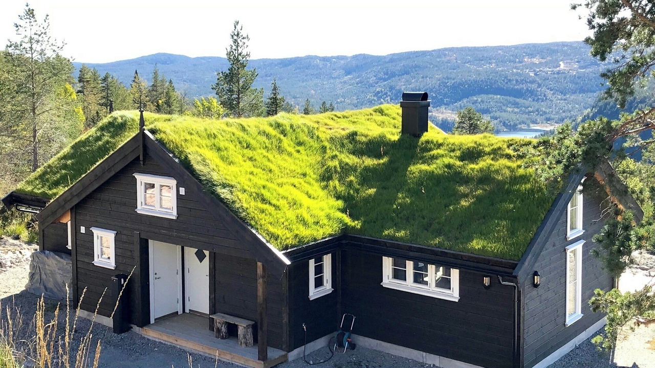 Photo of Outdoor in Tørdal