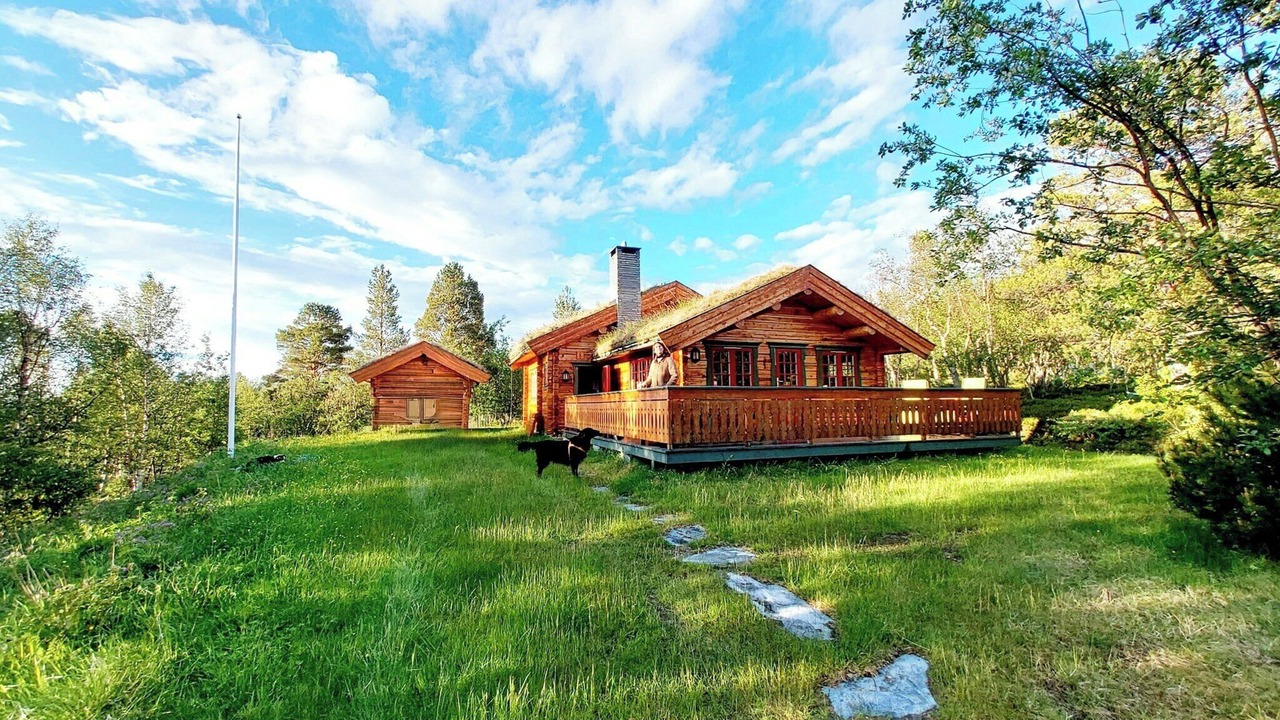 Photo of Outdoor in Galaa
