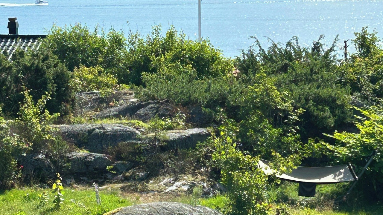 Photo of Others in Filtvet