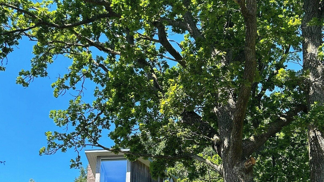 Photo of Outdoor in Rennesoy