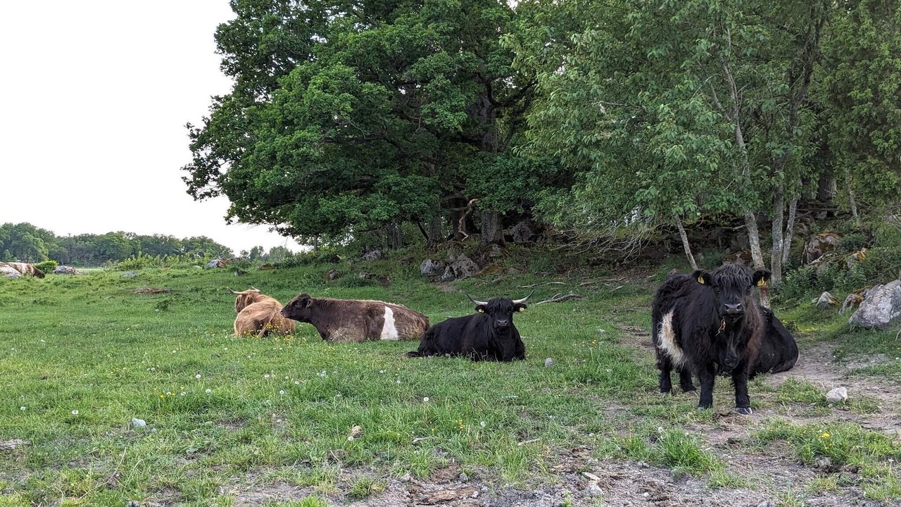 Photo of Others in Eskilstuna