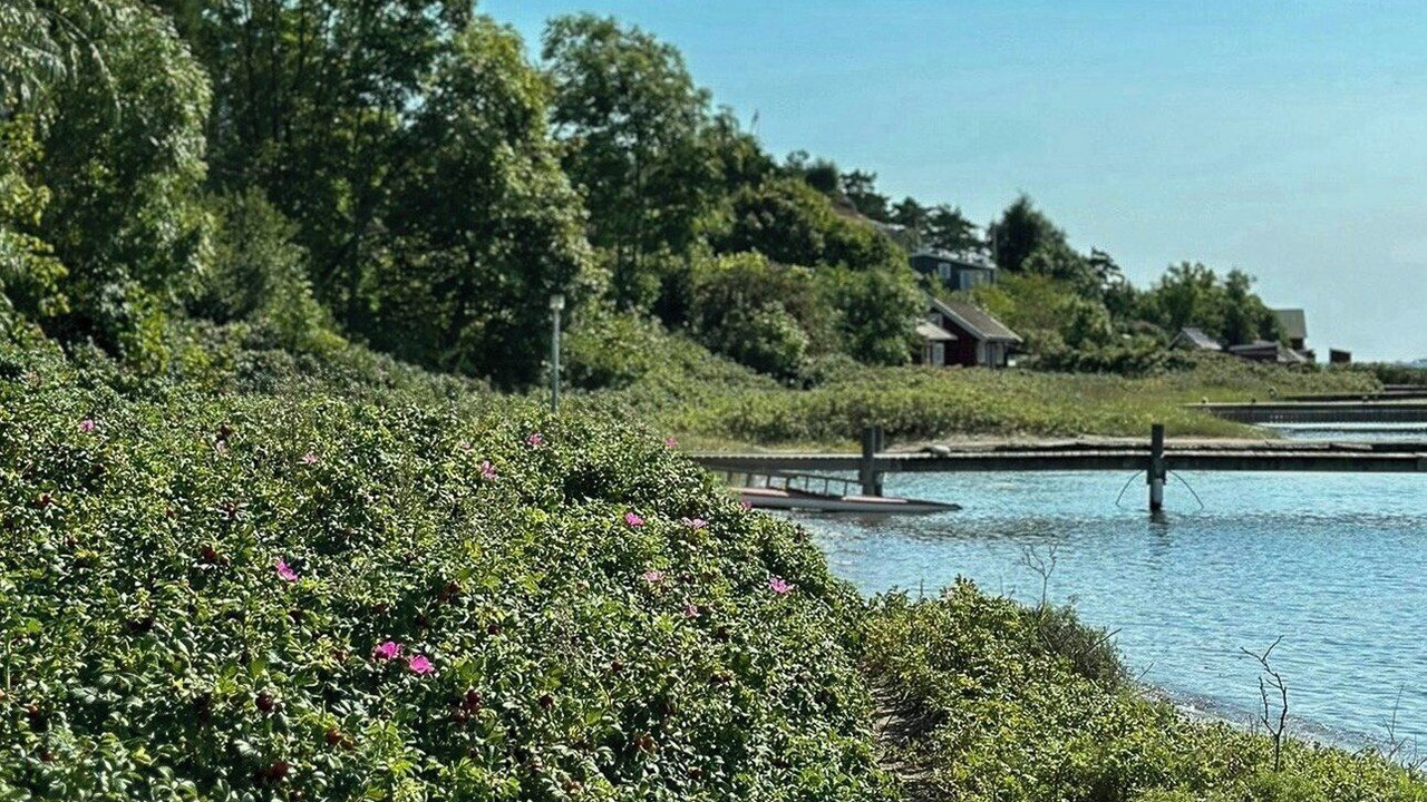 Photo of Others in Hvasser