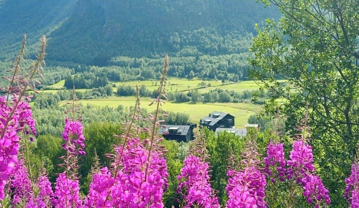 Photo of Others in Hemsedal
