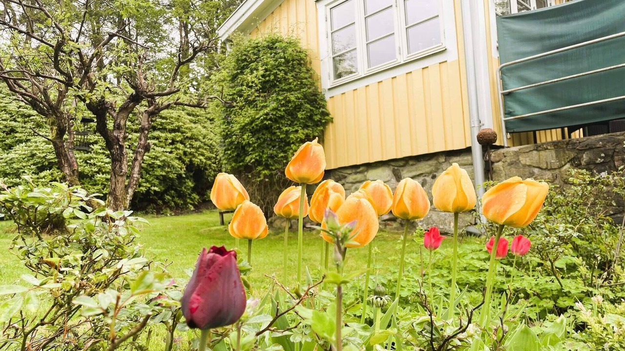 Photo of Outdoor in Stenungsund
