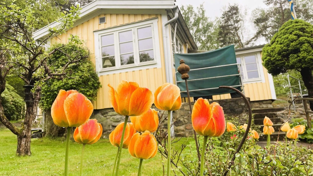 Photo of Outdoor in Stenungsund