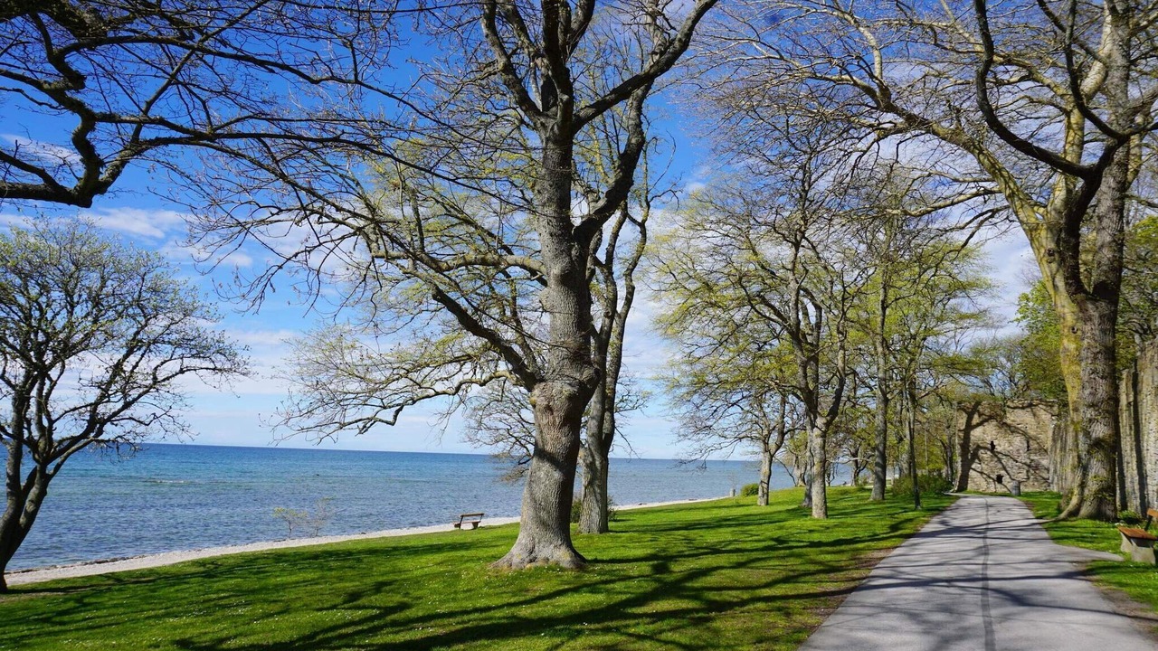 Photo of Others in Innerstaden