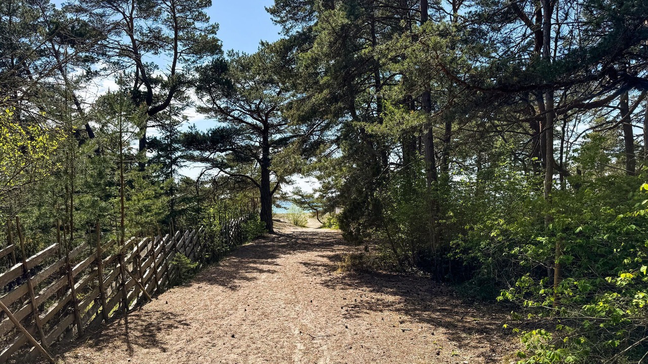 Photo of Others in Tofta