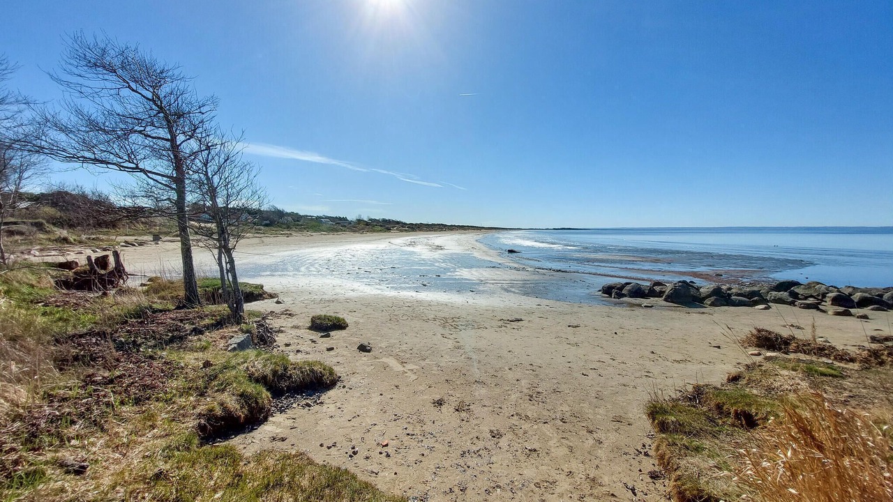 Photo of Others in Halmstad