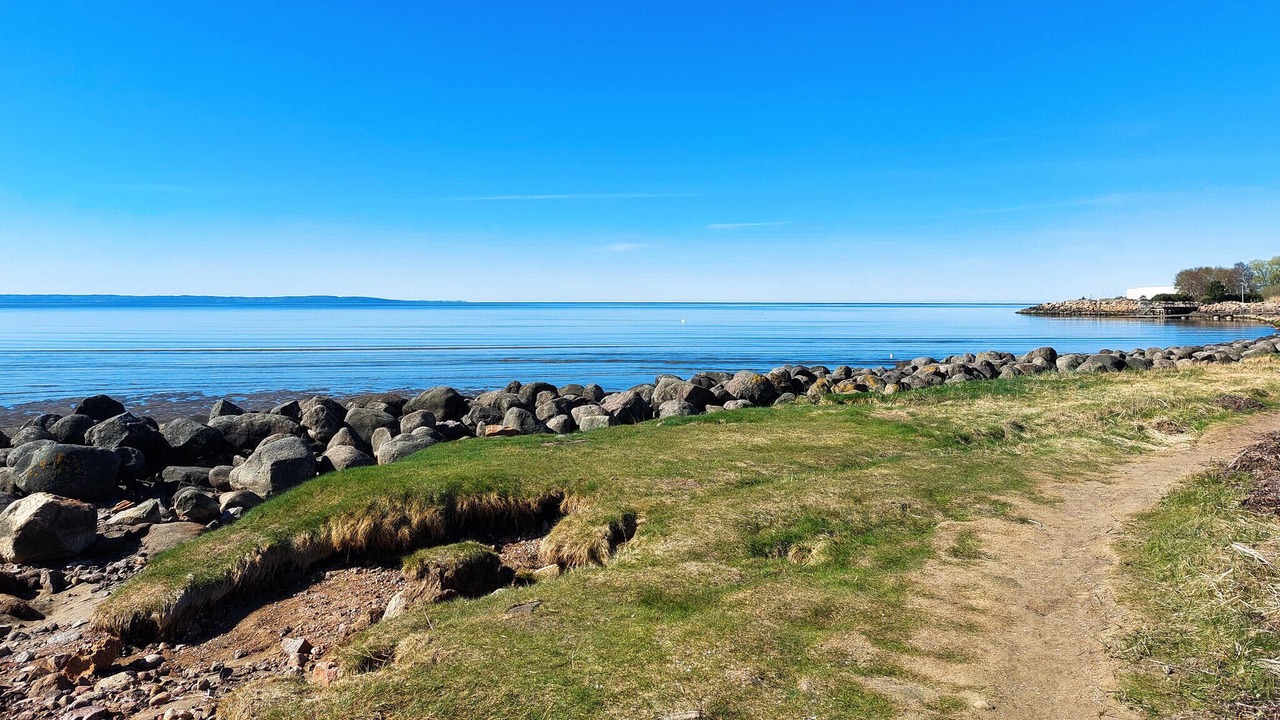 Photo of Others in Halmstad