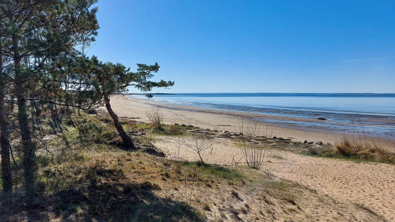 Photo of Others in Halmstad