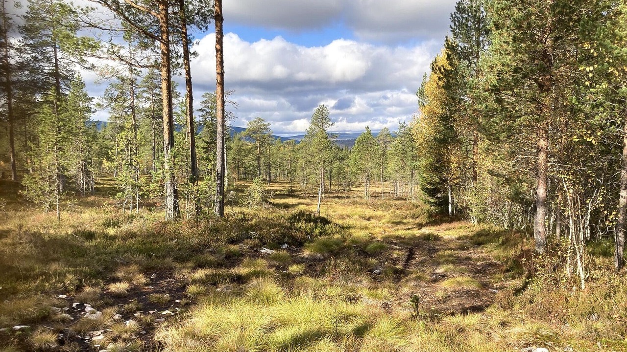 Photo of Others in Stoten